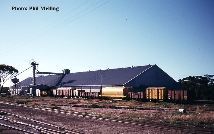 wagonsgnowangerup6april80.jpg